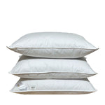 Divpusēja sega un divas spilveni ar zoss dūnu un spalvu pildījumu