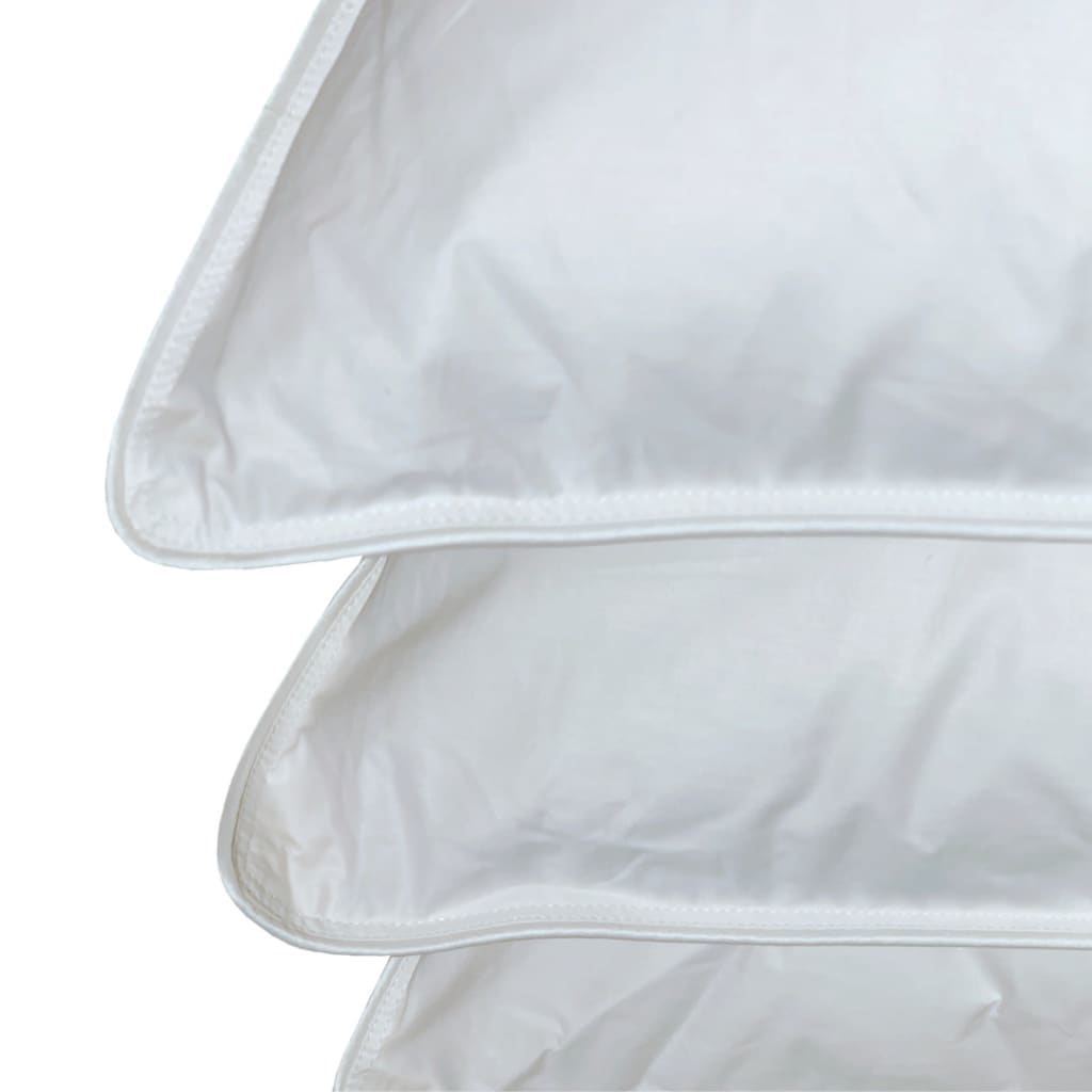 Divpusēja sega un divas spilveni ar zoss dūnu un spalvu pildījumu